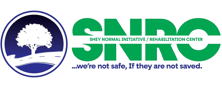 sheynormalrehab.org